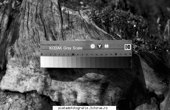 imagini inalta rezolutie pentru vedea direct imagini pun direct aici.319 pozitiv este fotografie