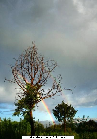 curcubeu regenbogen