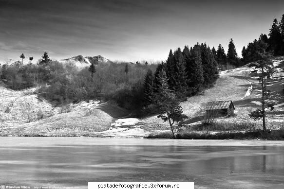 alb negru nature ice