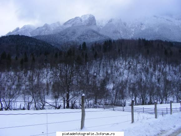 peisaje piatra craiului (iarna)