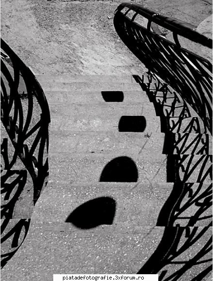 Abstract - LAVANA - Foto-comment