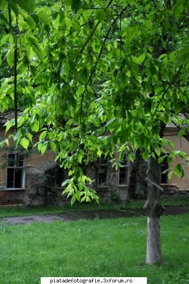 Agonie unei statiuni - MichaelaS - Foto-comment