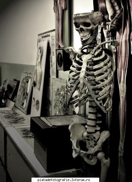 :nebun: anatomy