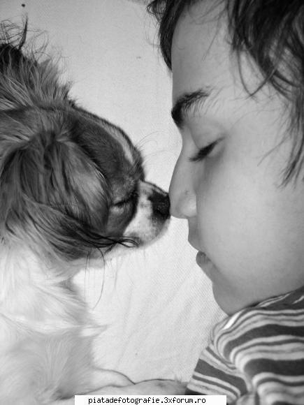 Animale de companie - nOname Girl - Foto-comment