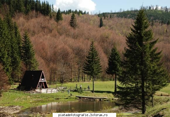 Bune pentru carti postale - radu - Foto-comment