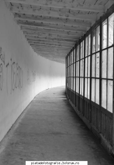 Calea spre lumina - MichaelaS - Foto-comment