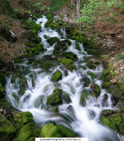 Cascada, Sohodol - Cheile Sohodolului, Gorj - Foto-comment