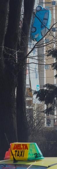 Caut titlu pentru fotografia mea - LAVANA - Jocuri fotografice