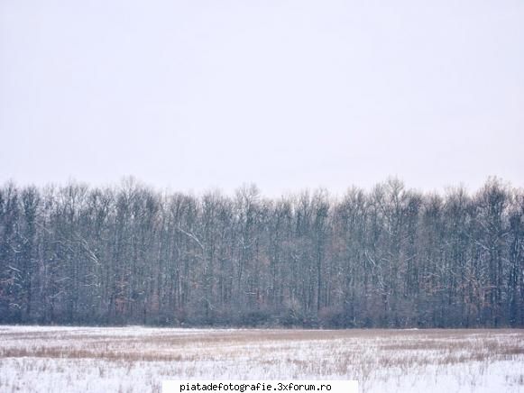 Caut titlu pentru fotografia mea - @ MichaelaS: cu placere :) la poza asta i-as - Jocuri fotografice