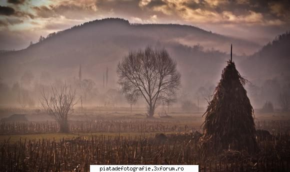 Ceata pe Valea Izei - si veni si o raza de soare - Foto-comment