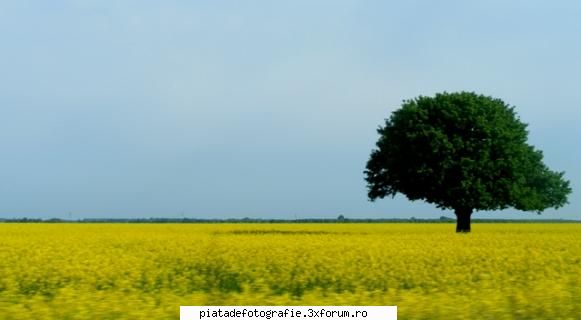 e frumos ... da' eu as fi orizontul drept (stiu ca nu puteai, probabil e facuta din masina dupa cum