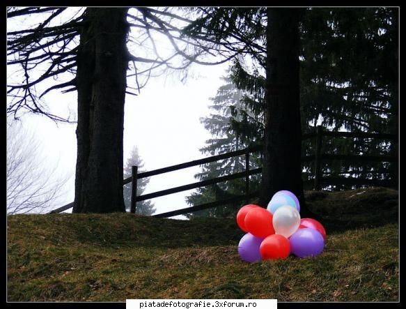 [Concurs FOTO] Culori (FINAL) - Salutare.... o poza si de la mine pentru - [CONCURS] Fotografii tematice