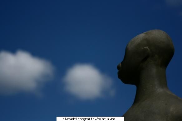 [Concurs FOTO] Inedit (FINAL) - adina marin - [CONCURS] Fotografii tematice