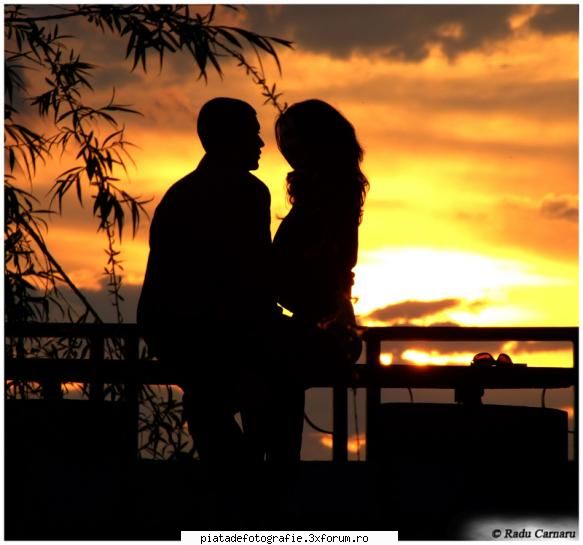 [Concurs FOTO] Iubire (FINAL) - Fotografie propusa la tema "Iubire" Love Birds - [CONCURS] Fotografii tematice