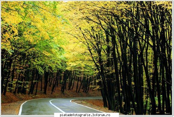 [Concurs FOTO] Legendele toamnei (FINAL) - Murmur de frunze pe moarte - [CONCURS] Fotografii tematice
