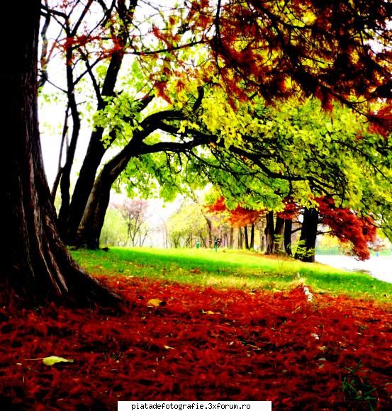 [Concurs FOTO] Legendele toamnei (FINAL) - Toamnă vie - [CONCURS] Fotografii tematice