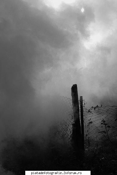 [Concurs FOTO] Lumina (FINAL) - lumina filtrata - [CONCURS] Fotografii tematice