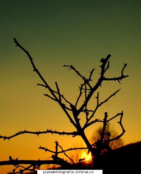 [Concurs FOTO] Lumina (FINAL) - undeva la apus inscriu si eu o foto nu cu - [CONCURS] Fotografii tematice