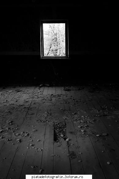 [Concurs FOTO] Lumina (FINAL) - "spring from my window" - [CONCURS] Fotografii tematice