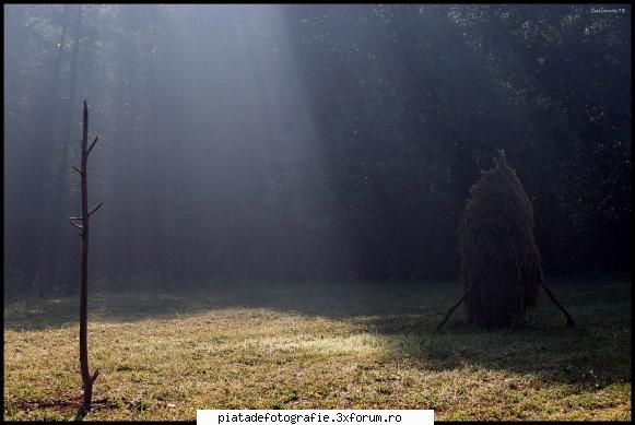 [Concurs FOTO] Ramasitele verii (FINAL) - calinutz78 - [CONCURS] Fotografii tematice