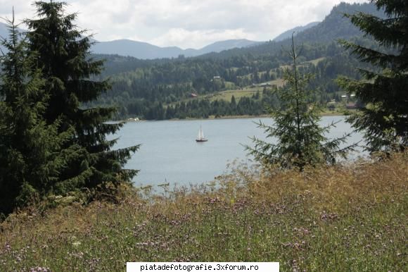 [Concurs FOTO] Ramasitele verii (FINAL) - La sf�rşit de vară, pe - [CONCURS] Fotografii tematice