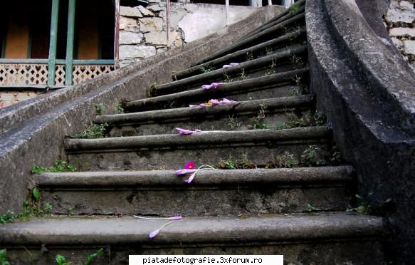 [Concurs FOTO] Ramasitele verii (FINAL) - a trecut ca o parere si-a lasat in - [CONCURS] Fotografii tematice