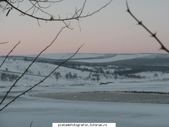 [Concurs FOTO] Vis de iarna (FINAL) - maxkyty - [CONCURS] Fotografii tematice