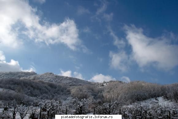 [Concurs FOTO] Vis de iarna (FINAL) - calinutz78 - [CONCURS] Fotografii tematice
