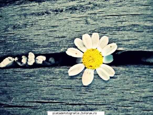 [Concurs FOTO] Vitalitate (FINAL) - nOname Girl - [CONCURS] Fotografii tematice