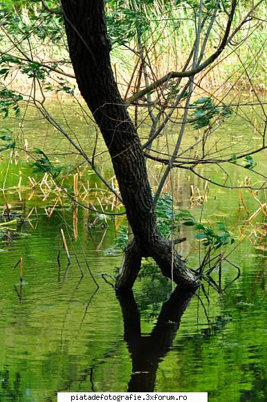 Contorsionistul - Am incarcat din nou - Foto-comment