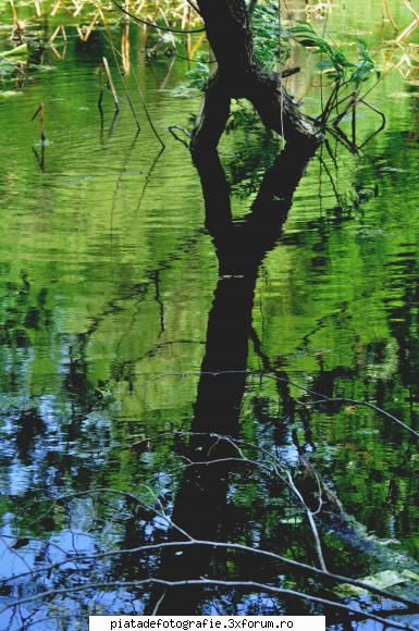 Contorsionistul - "Other face" :) - Foto-comment