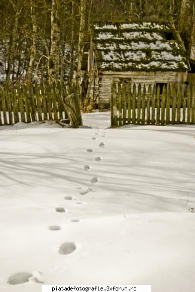 Cotet - va rog ceva sfaturi si pareri. multumesc - Foto-comment