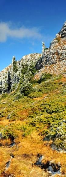 Covor hivernal - da! zic si eu cate ceva! intrebare: nu e prea - Foto-comment