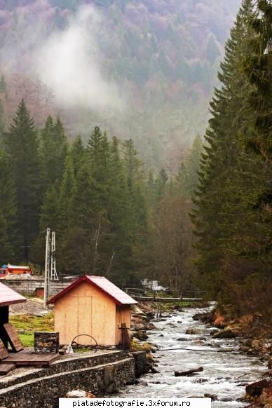 Culori montane - O poza realizata la ora 7:00 aproape de Balea Lac - Foto-comment