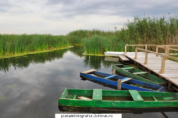 Delta Neajlovului - zvonacfirst - Foto-comment
