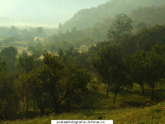 Dimineata la Barsana - realizata cu Fuji fine pix S9500 - Foto-comment