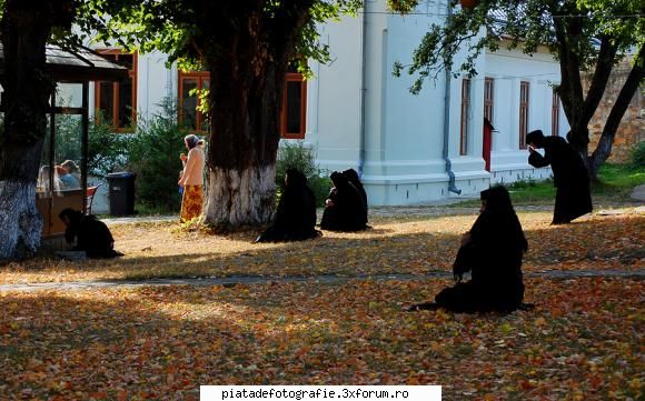 Evlavie - LAVANA - Foto-comment