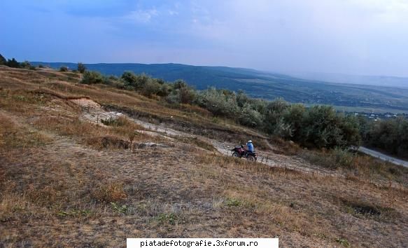 FAZAN foto - LAVANA - Jocuri fotografice
