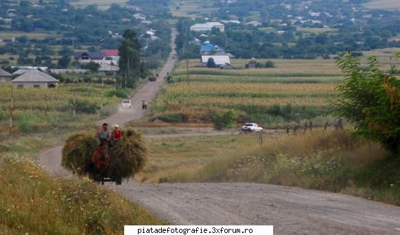 FAZAN foto - LAVANA - Jocuri fotografice