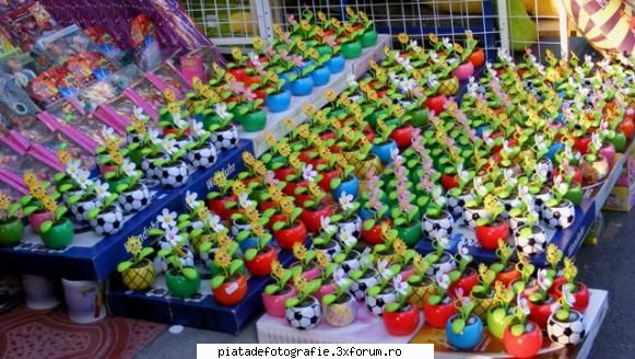 FAZAN foto - "Flori" (multicolore) - Jocuri fotografice