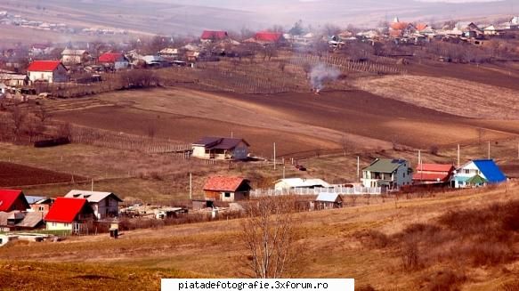 FAZAN foto - LAVANA - Jocuri fotografice