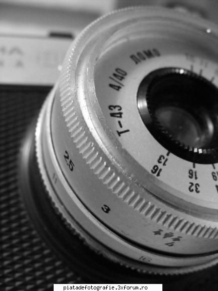 FAZAN foto - 6madutza6 - Jocuri fotografice