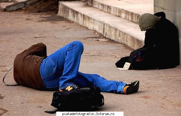 FAZAN foto - fotoreporter in actiune - Jocuri fotografice