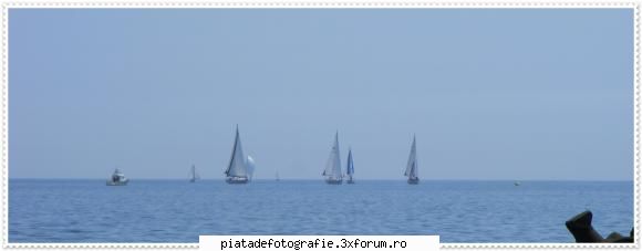 FAZAN foto - 6madutza6 - Jocuri fotografice