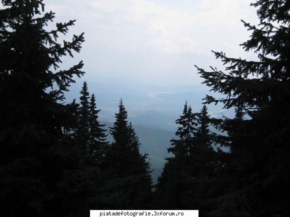 FAZAN foto - "under the sky" - Jocuri fotografice