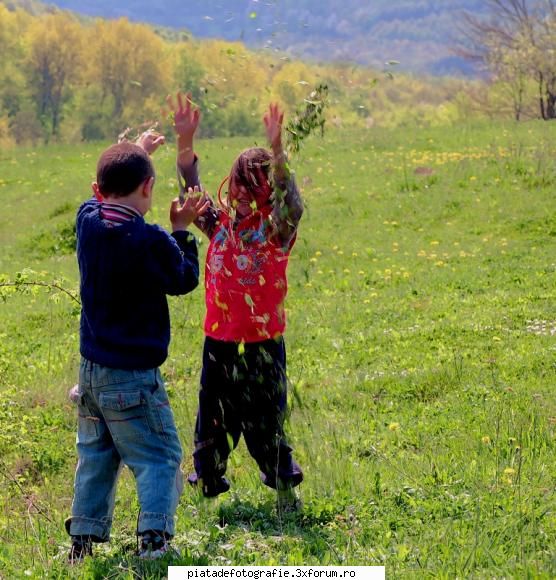 FAZAN foto - LAVANA - Jocuri fotografice