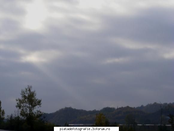 FAZAN foto - MichaelaS - Jocuri fotografice