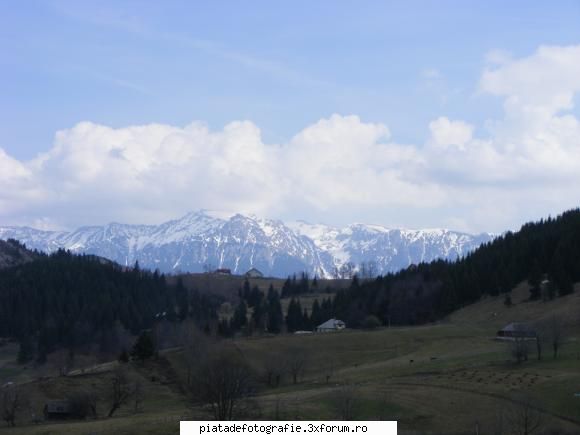 FAZAN foto - 6madutza6 - Jocuri fotografice