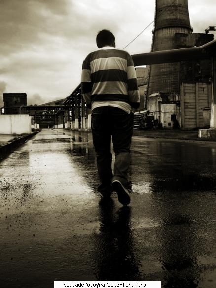 FAZAN foto - bobo - Jocuri fotografice