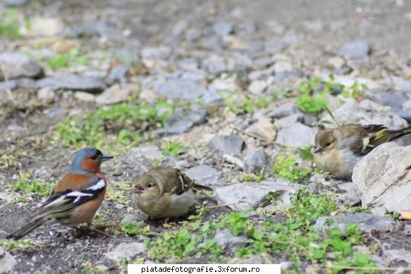 Familia - salutare, am surprins acest dialog intre membrii - Foto-comment